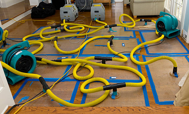 Professional Burst Pipe Water Damage technician working in Warm Springs, OR